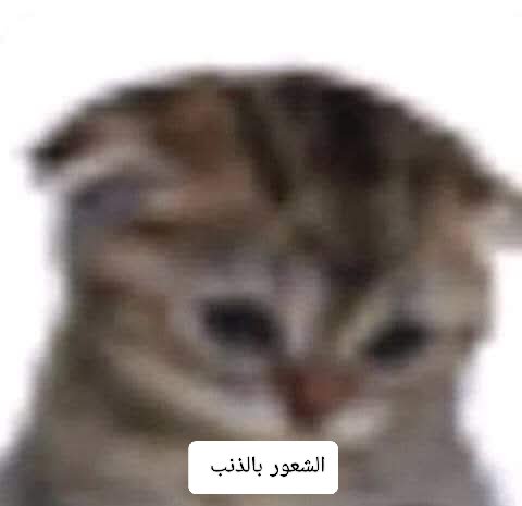 كينج روس جيلر tweet media