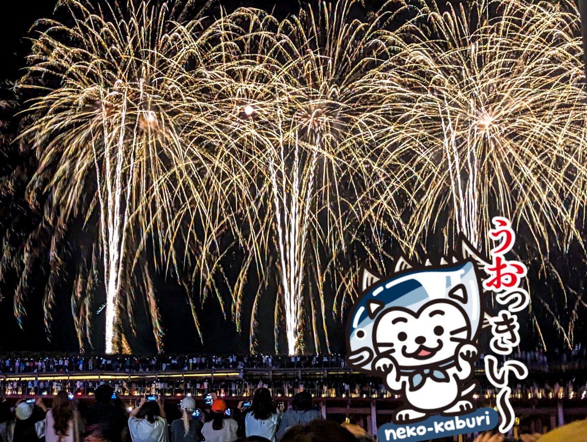 ねこかぶり〜neko-kaburi〜 tweet media