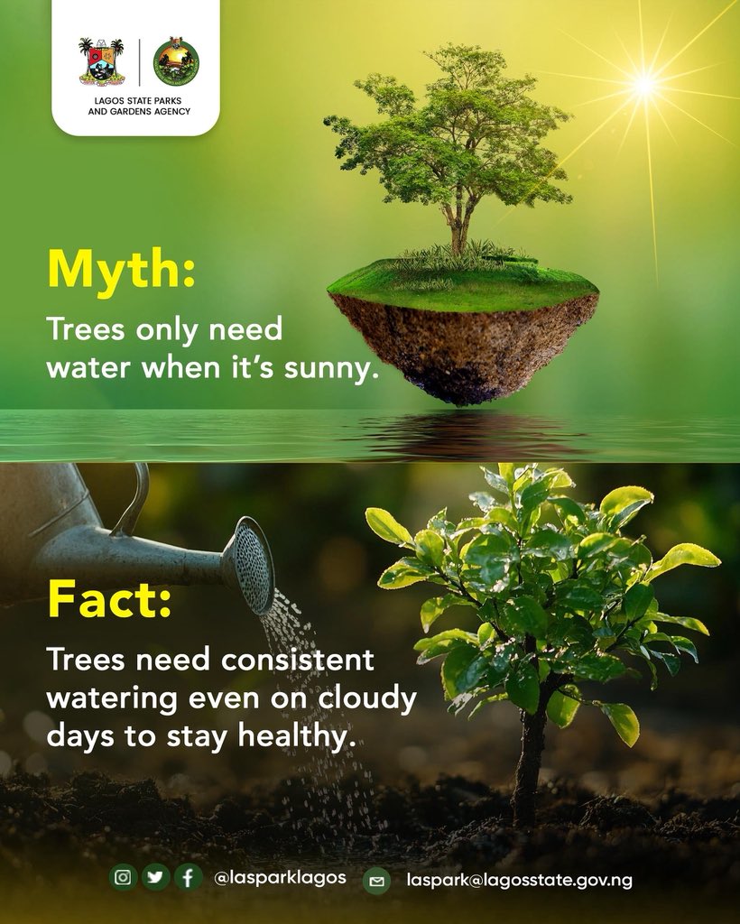 LASPARKLagos's tweet image. Don’t wait till the sun is out before you water your plants 💦🌱 
#GreenerLagos #HealthierLagos #PlayLagos