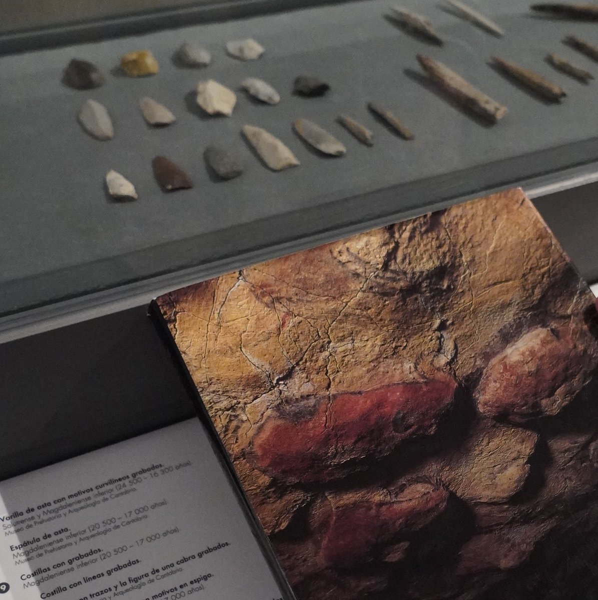 Celebramos el #DíaDeLasBibliotecas con #LibrosEntrePiezas 📚
En esta intervención en la expo podrás ampliar información con los libros de nuestra biblioteca en los que aparecen algunas de nuestras piezas.

¡No te pierdas los recorridos guiados!
➕Info: short.do/iGqaWs