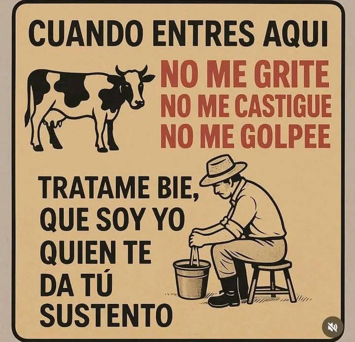 AlejandraBadino's tweet image. Buenos días gente linda ! Agradezco los saludos por mí cumpleaños 🫶🏽 .. vamos por un día más #tambo 🫶🐄🐄🐄