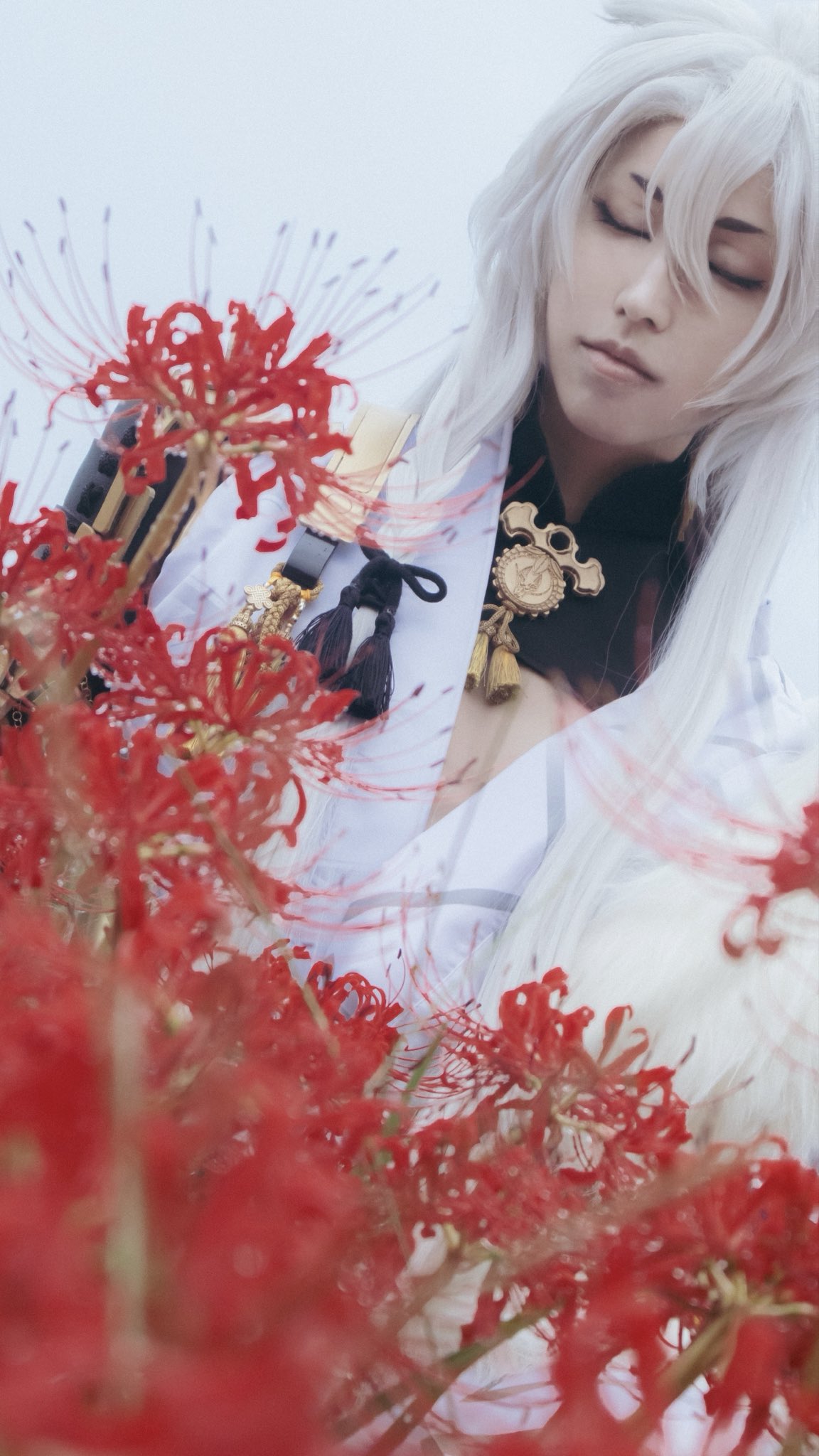 ꧁蝶よ花よ..恋桜.*ೄ ❀´-꧂ 専用✨calling❣️皇✨ 恵錵 on X: 