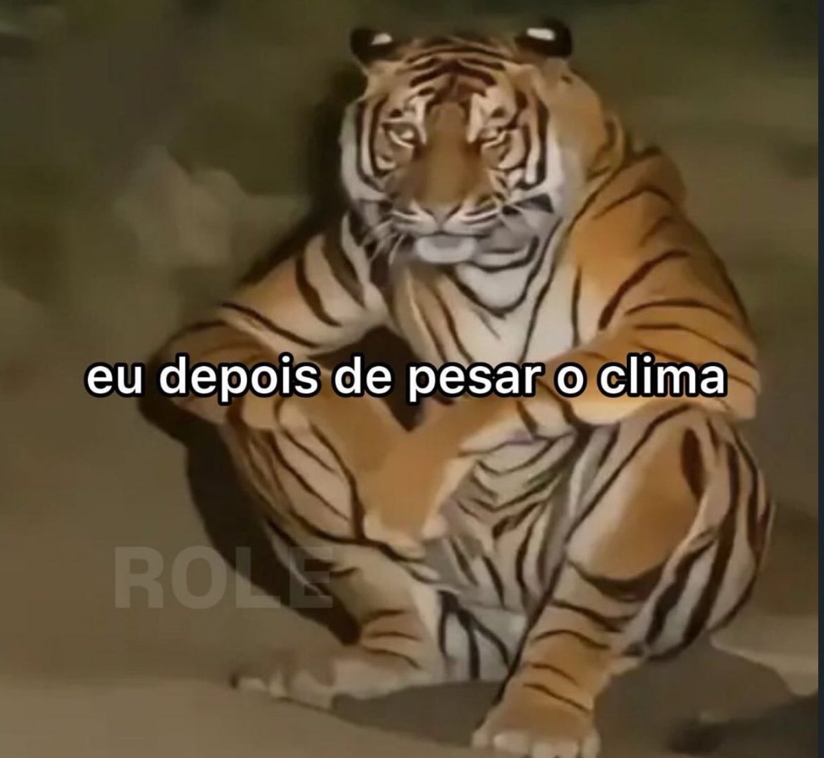 shitpostverdade's tweet photo. https://t.co/r8uQu03mWB