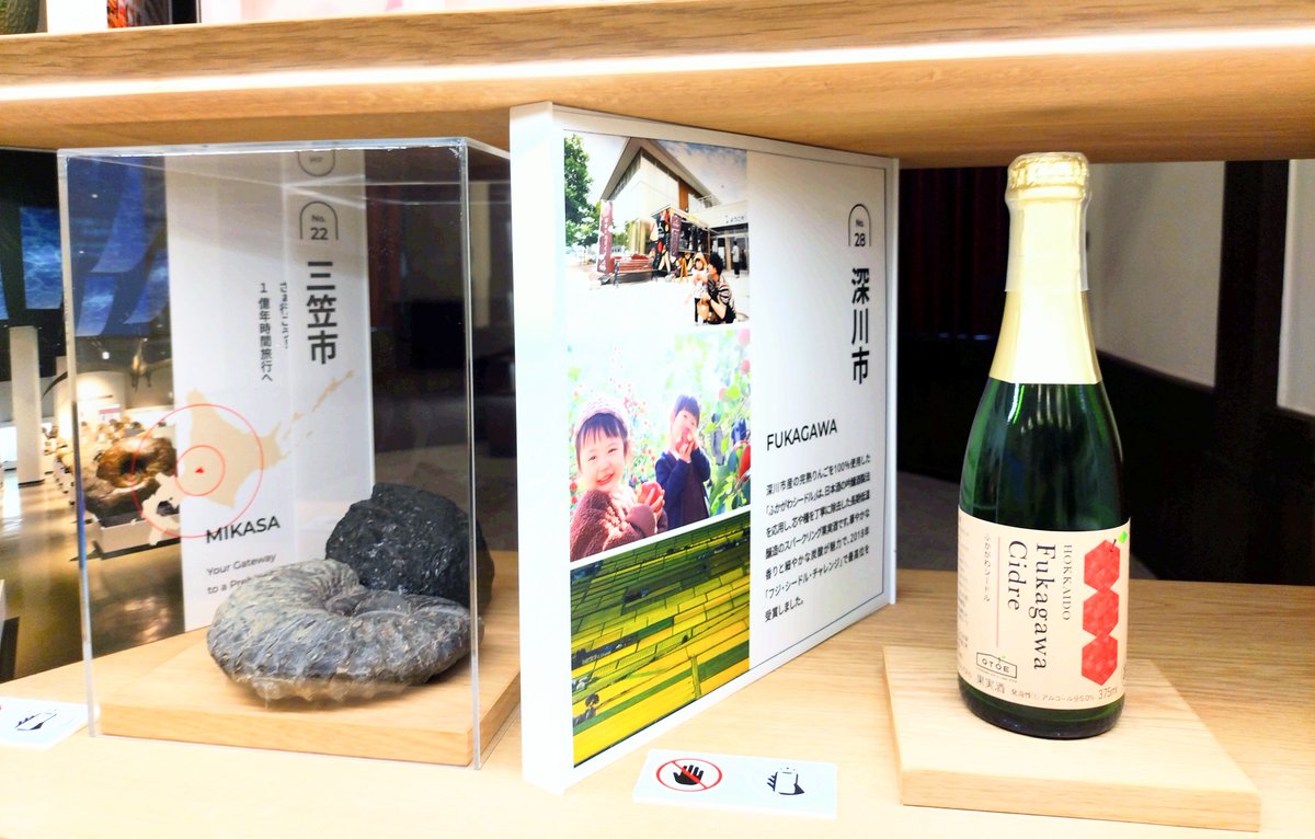 「UMAMI」見に行った時、赤れんが庁舎内も見学してたら、各市町村の特産物などの展示室で、深川市のシードルと並んで　　
三笠市はアンモナイトが展示されていて…。😯🥰💚