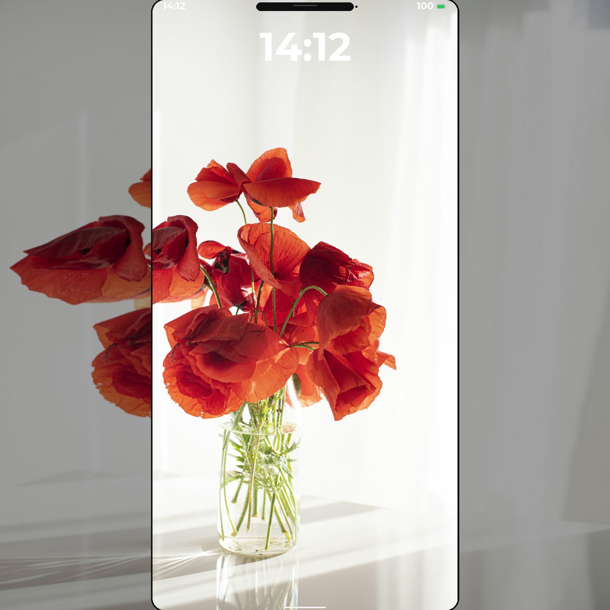 vividwall's tweet image. 💎 Crystal Clear 4K Ultra HD Mobile Background

"White and red"

📸 Photo by Larisa Birta

Category: Red | 4K Ultra HD | 📍 Europe

#Artistic #PopularContent #HighResolution #QualityContent #MobileDesign