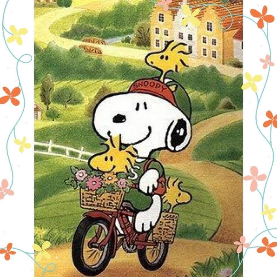 joanie_tweet's tweet image. Good Monday Morning!
If You're Always Racing to the Next Moment, What Happens to the One You're in?
Slow Down, Life is Filled With Beautiful Scenery. 
Enjoy the Ride! 😊❤️🤗
#SlowDown #EnjoytheRide
#MondayVibes #MondayMotivation