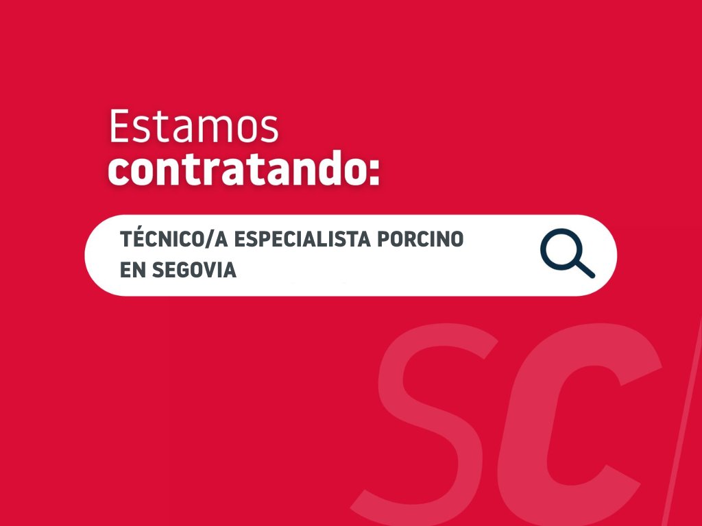 OFERTA DE EMPLEO | Buscamos incorporar un 𝐓É𝐂𝐍𝐈𝐂𝐎/𝐀 𝐄𝐒𝐏𝐄𝐂𝐈𝐀𝐋𝐈𝐒𝐓𝐀 𝐏𝐎𝐑𝐂𝐈𝐍𝐎 para Segovia: turno de mañana.

Ofertas:semencardona.com/es/ofertas/tec…

#WeAreHiring #ofertadetrabajo #empleo