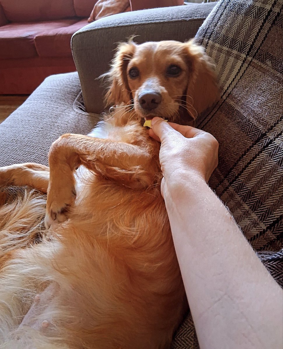 Anne Hamilton tweet media