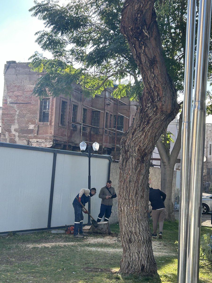 aksba1's tweet photo. Tacettin Veli Mahallesi Çocuk Bahçesi Sokakta şu anda inşaatı devam eden otele sınır olan ve belediyeye ait olan alandaki kaç yıllık Salkım Söğüt Ağacının neden kesildiğine dair bir açıklama bekliyoruz. Bu ağaçlar hepimizin değil mi, nasıl kıyarsınız?
@KayseriBSB @MelikgaziBel https://t.co/O2RqXmh9Sm