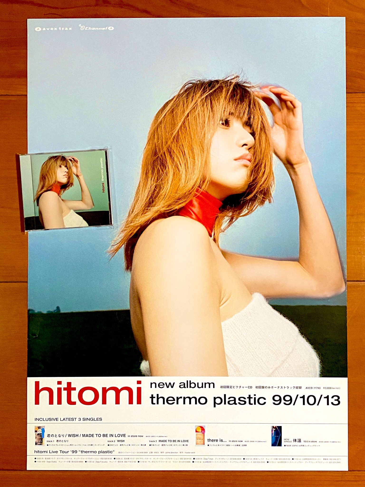 hitomi　thermo plastic　パンフレット　写真集 hitomi thermo plastic ライブ パンフレット ヒトミ サーモ