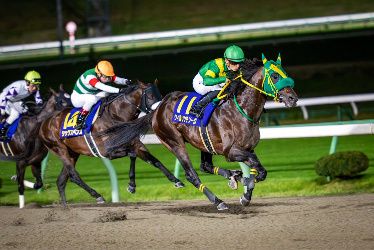 ryoken_farm_'s tweet image. #ウィルソンテソーロ 
南部杯勝ちました🏆
念願のG1級２勝目です🎉🎉
たくさんの応援ありがとうございます。

写真提供: @dora_3121 様

#リョーケンファーム #了徳寺健二ホールディングス #テソーロ