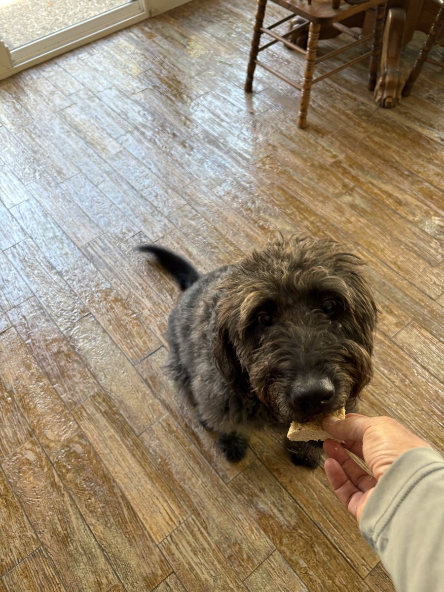 Pigs will eat feces because their only concern is themselves, since they have no passion for truth Eternal life is not offered to them.