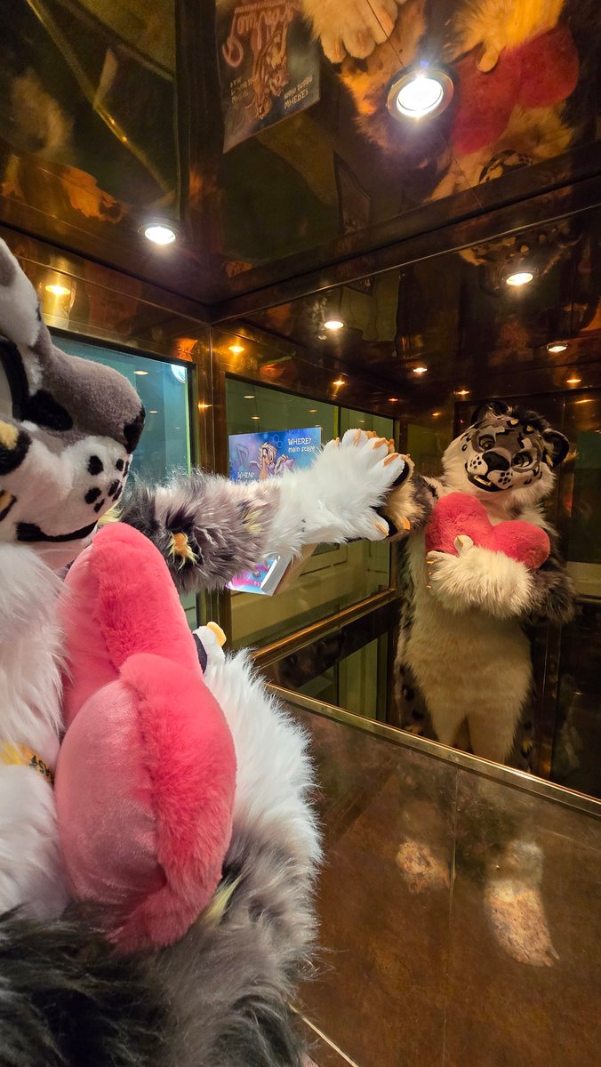 Are you my brother ?
#FursuitEveryday #fursuiter #snep