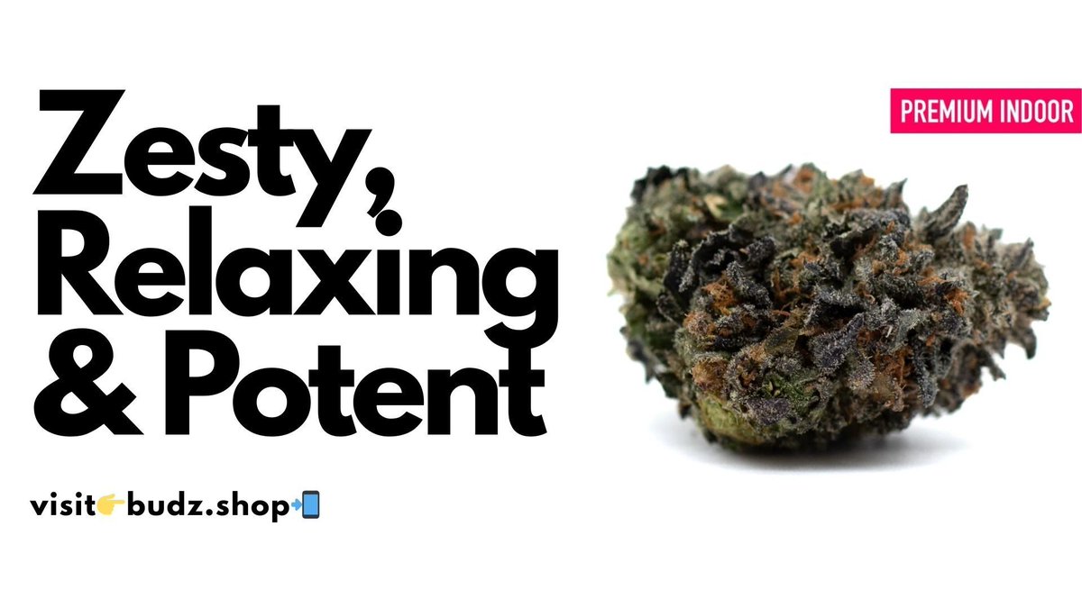 Budz_ApeClub's tweet image. 🌿 Experience Fresh Premium THCa Flower!

Indulge in top-quality strains with rich aroma and potency. Perfect for elevating your senses and enhancing your experience.

Discover the difference today!