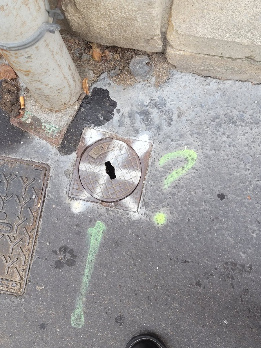 ToymaSam's tweet image. Right color this time