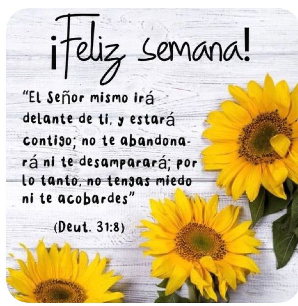 Buenos días... Excelente inicio de semana..Dios les bendiga 🙏☀️☕