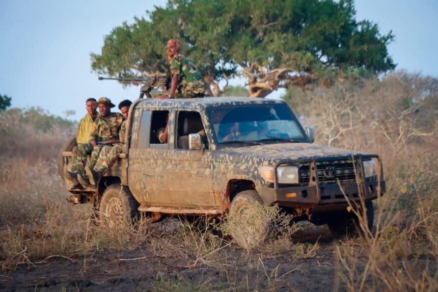 SONNALIVE's tweet image. Senior Al-Shabaab commander killed in central Somalia

shorturl.at/eaZ3R
#Somalia #AlShabaab #SecurityUpdate #Hiraan #CounterTerrorism #LocalDefense #PeaceAndSecurity
