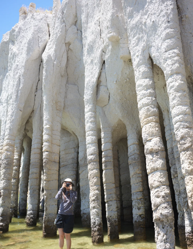 borra_avinash's tweet photo. Alien Temple on California Highway 395

Actually, it's not an alien temple, but rather volcanic ash columns formed by volcanic activity. https://t.co/6cprxX8mmx