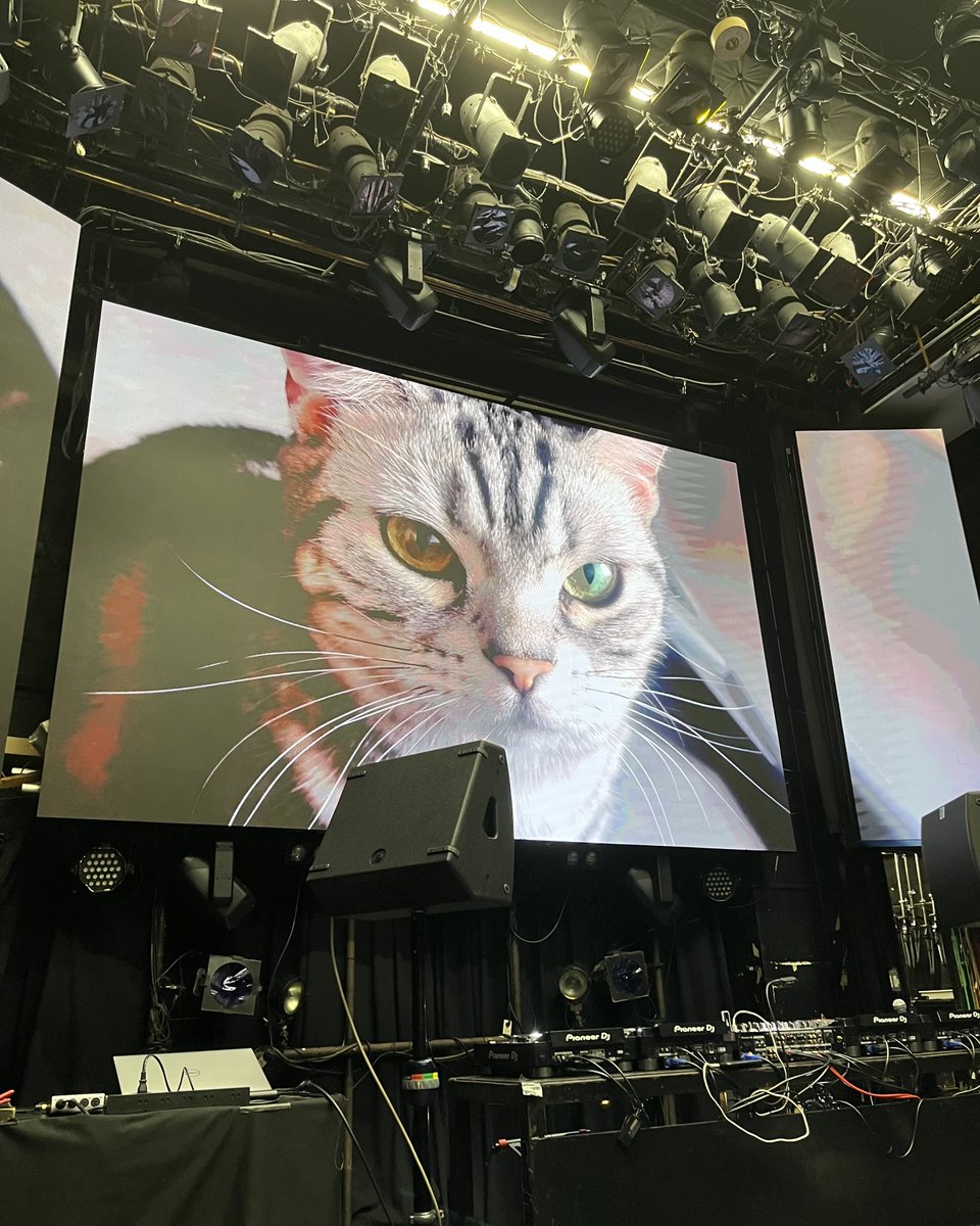 Phasma's tweet image. 📹 #function_draw