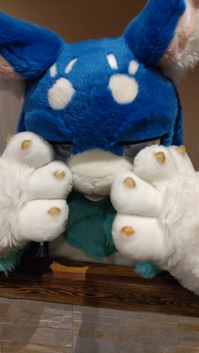 ReshiramWife's tweet image. #CoEDOオフ