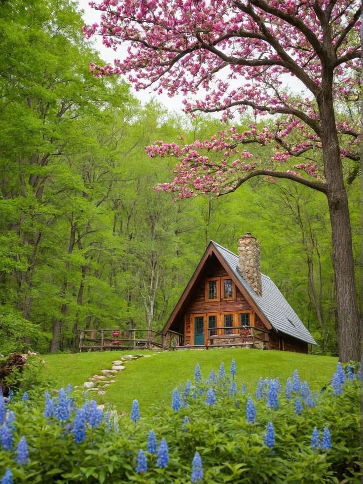 Amazing views 😍 (@naturaleye78321) on Twitter photo 