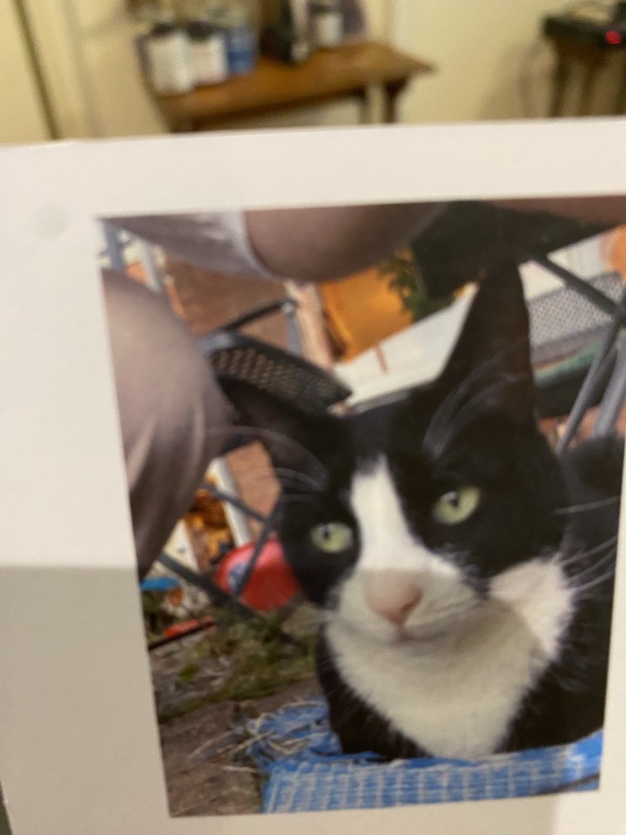 ⁦<a href="/frisky9/">Frisky Le Rouge</a>⁩ Skippy