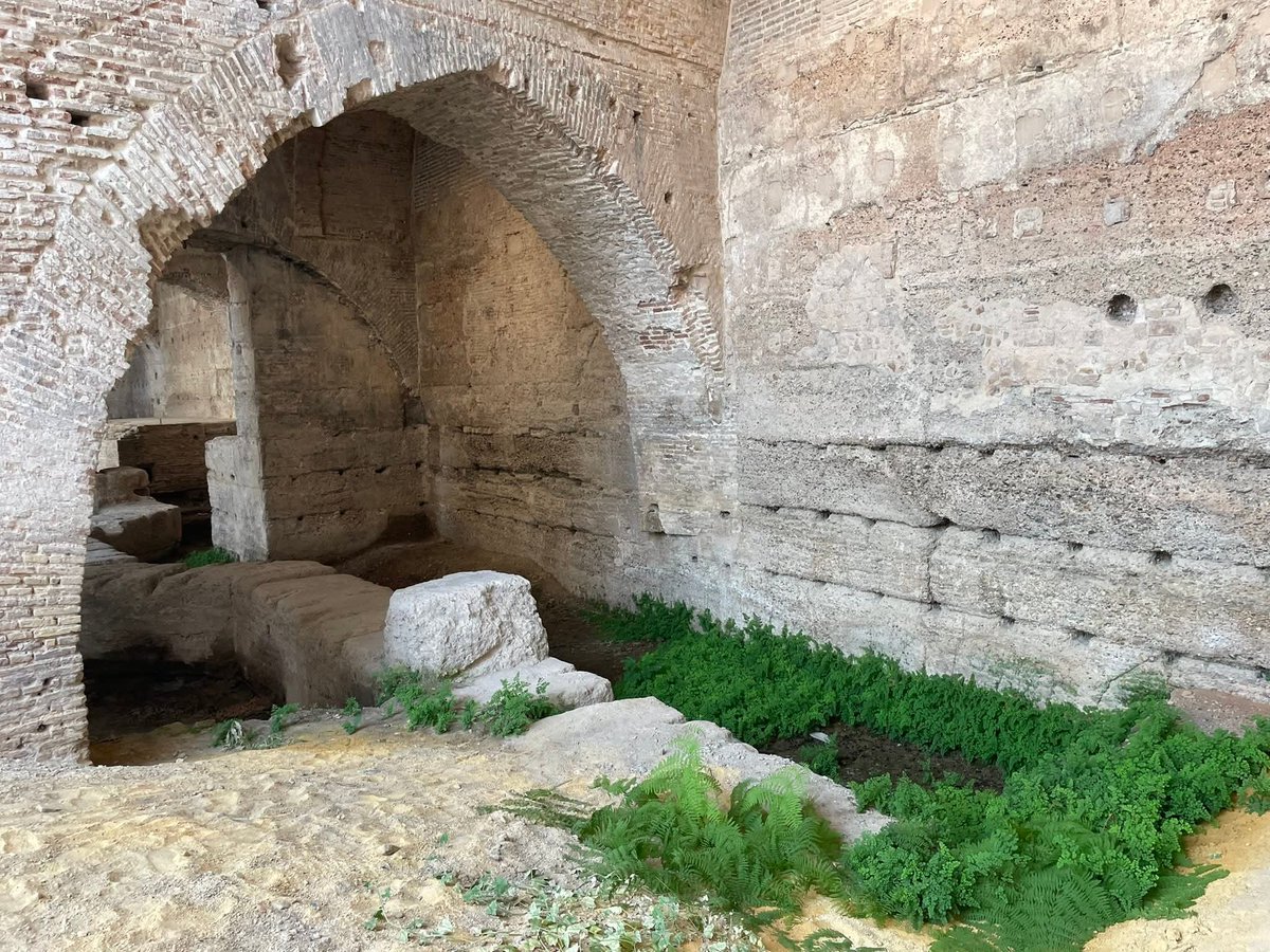 Nos manda la fotografía Enrique Bocanegra. Son las Atarazanas recién restauradas y llena de jaramagos y fango la zona de la muralla almohade. Todo el mundo calla. Parece da igual lo que se haga La consigna es callar para no salir del guión?
.