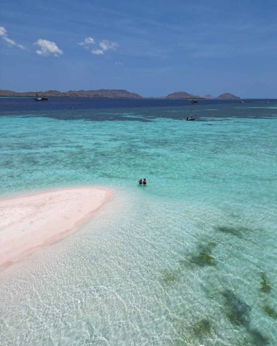 World Playground tweet media