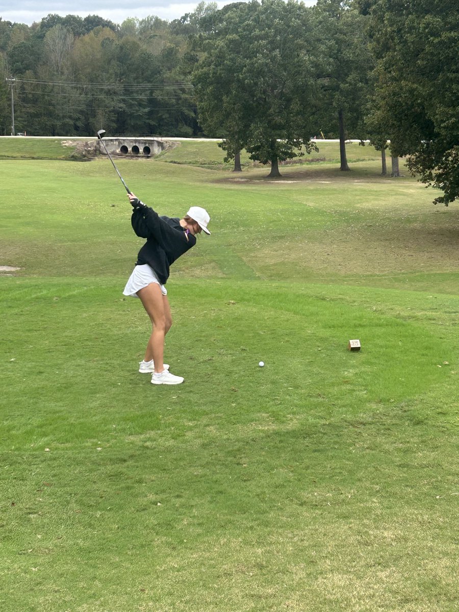 HSHS Athletics tweet media