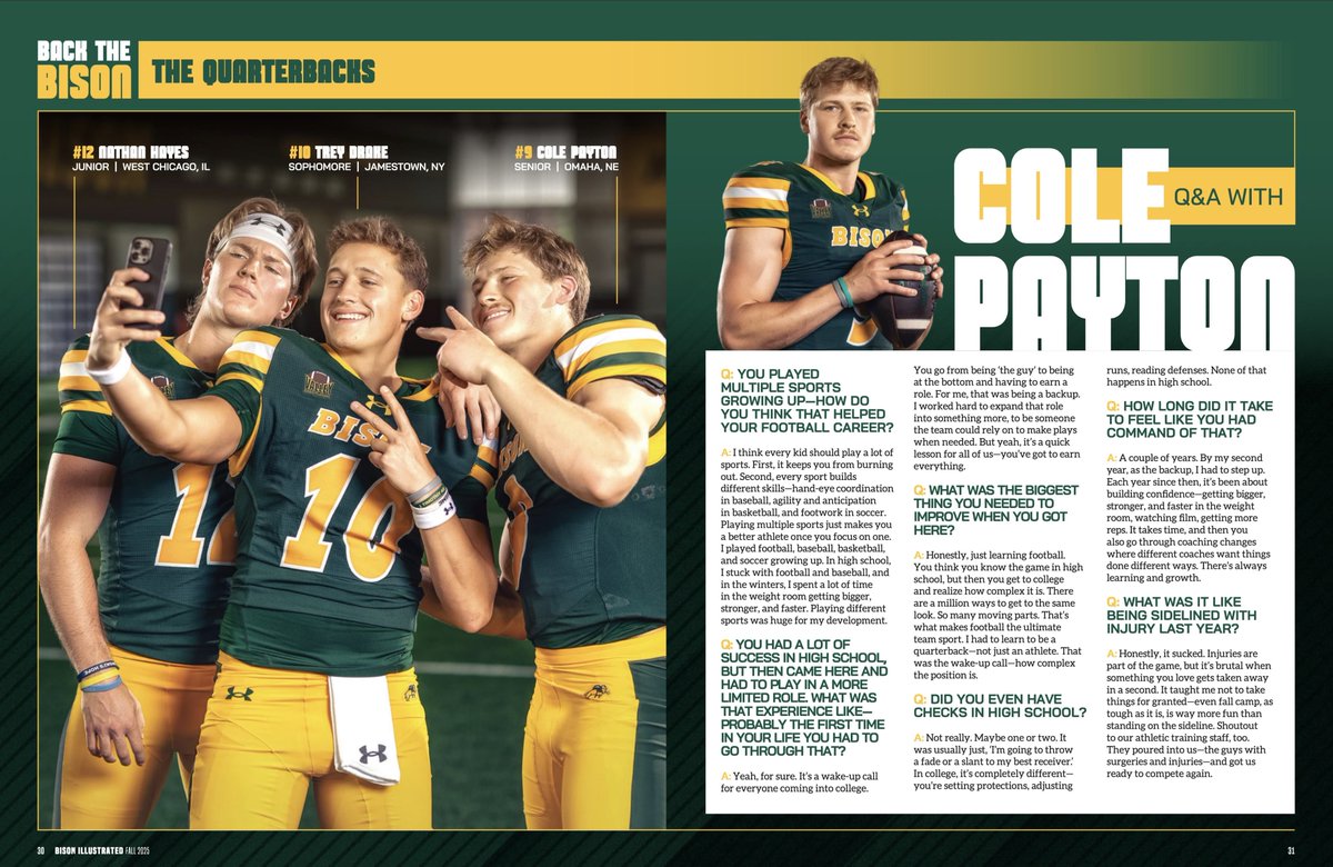 Bison Illustrated tweet media