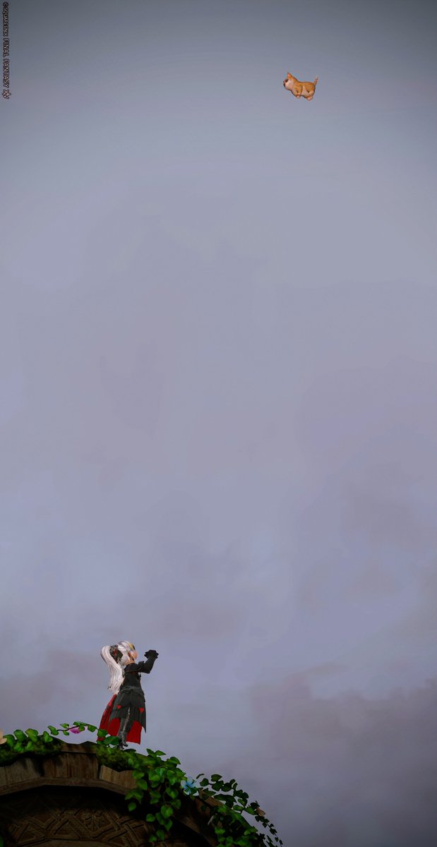 何故かトラジロウが上空に浮いてた💦
(*｣´□`)｣ {帰っておいでー}

今日もお疲れ様*´ㅅ`)"

おやすみなさい( ᵕᴗᵕ )*･☪︎·̩͙

#FF14 #おつララ