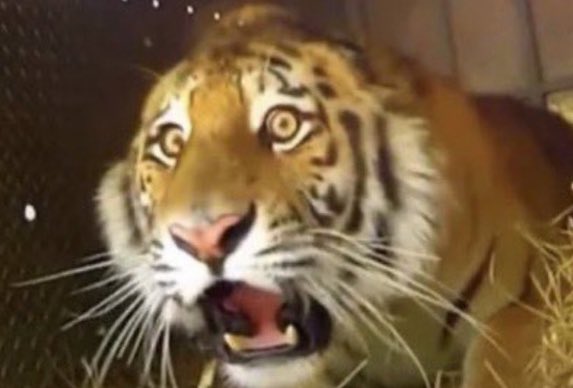 Le ministre belge de la Défense quand il verra le soleil se lever à 3H du matin (les F-35 étaient pourtant de meilleurs avions)