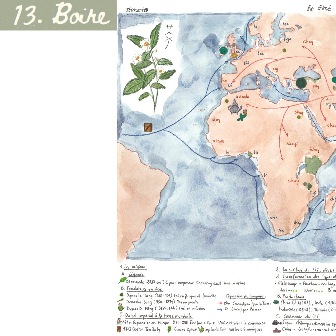Junevgt's tweet image. JOUR 13 - BOIRE 

Perfusé au thé h24, je me devais de faire une carte sur le thé pour le thème boire du jour. 
J&apos;espère quelle vous plaira. 

#inktober #inkaddict #aquarelle #map #carte #cartographie #lageocasedessine #map #géographie #stinarto #tea #thé #boisson