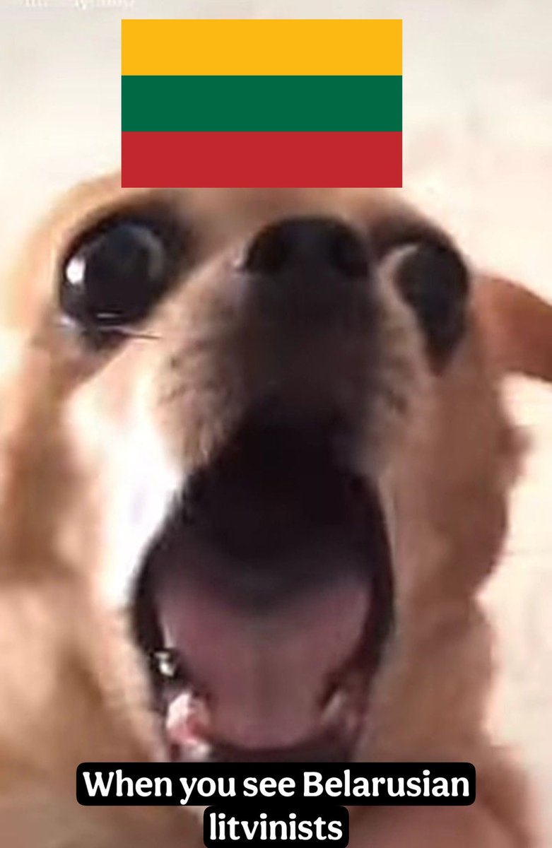 History if Belarussians podcast (@oldlitvin) on Twitter photo 