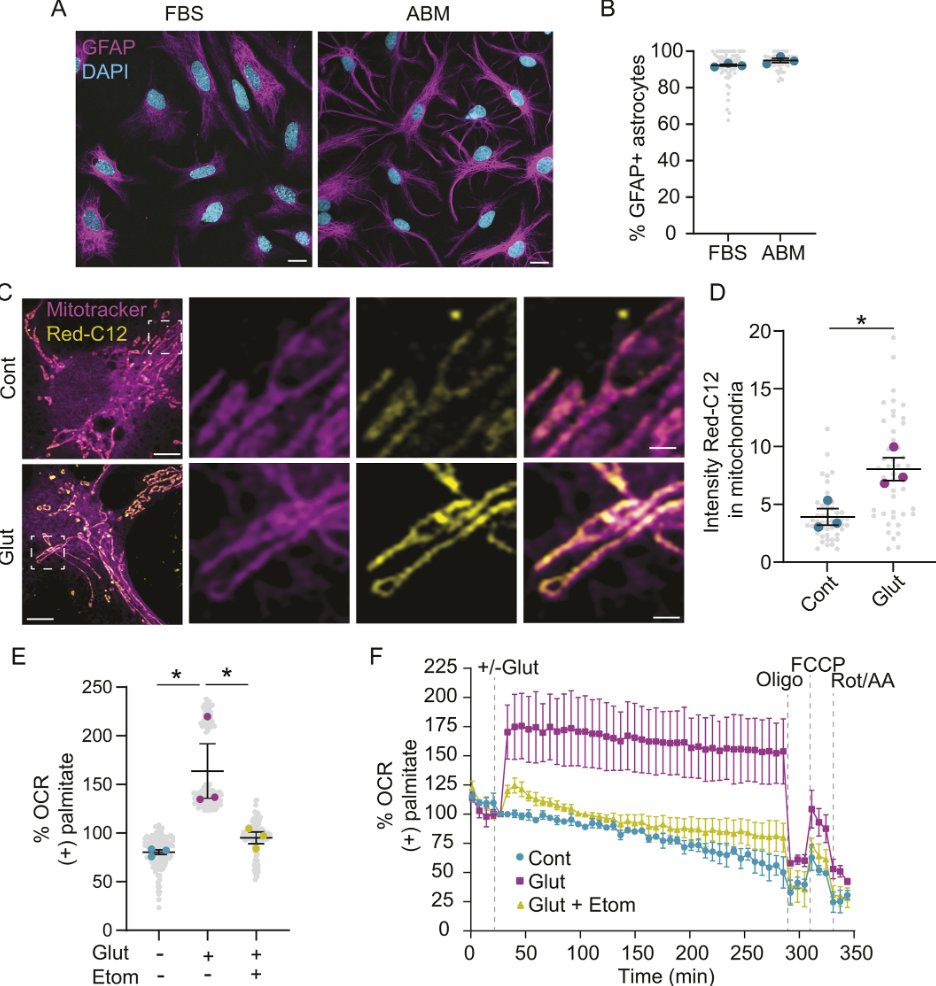 J Cell Science tweet media