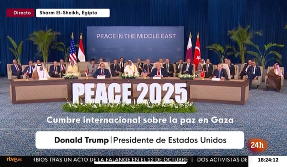 Parece la Palapa de ‘Supervivientes’.