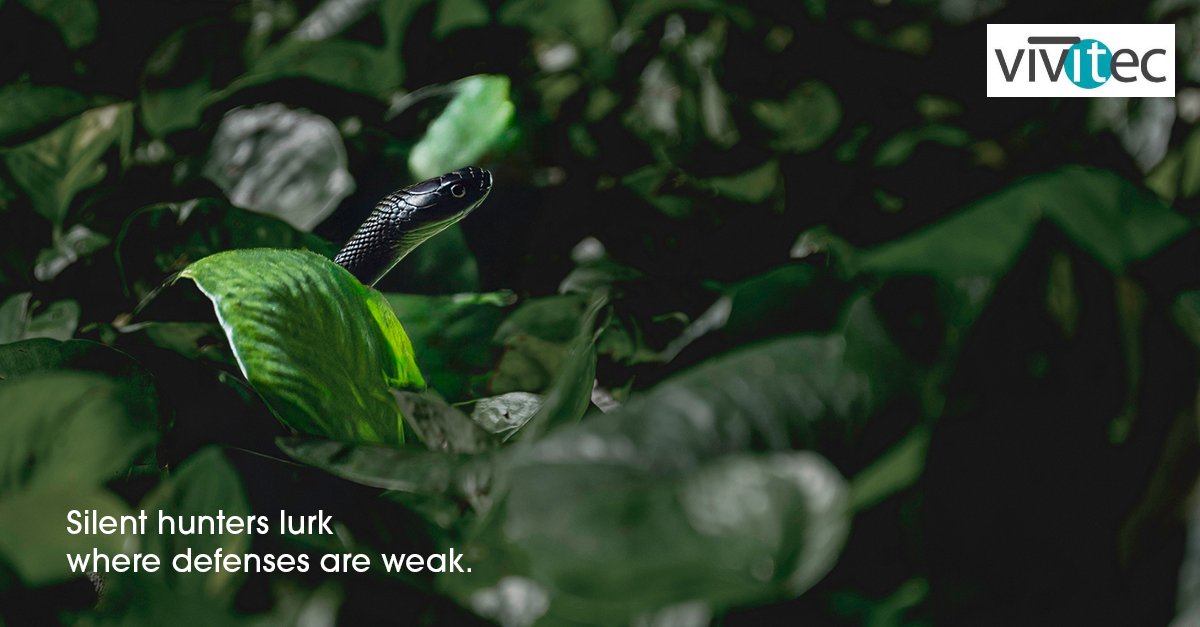 VivitecIT's tweet image. Hackers wait quietly for weak defenses. Don’t let silence be their weapon—detect threats early & build strong protection. DM now! #ITHelp #ITManagement #Cybersecurity Need IT Help? vivitec.net/contact-us/
