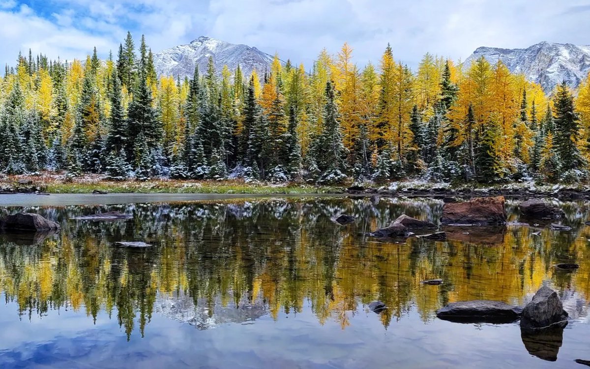 Happy Thanksgiving, friends!

May your hearts be full of love and gratitude today.