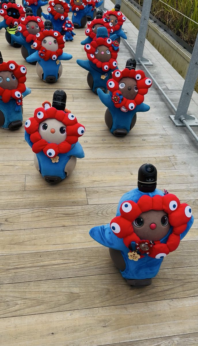 ころちゃん (@koro20210615) / Posts / X