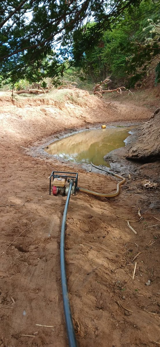 KFigoh's tweet photo. "Hii maji ni life bana 💦! Tukuwe wase wa kuconserve — si mpaka mto ikauke ndio tuchangamke. Tucheze smart na environment yetu."
#environmentalconservation
#tupandemti
#TuchungeMaji
#savethedrop https://t.co/zqrqPiRj4m