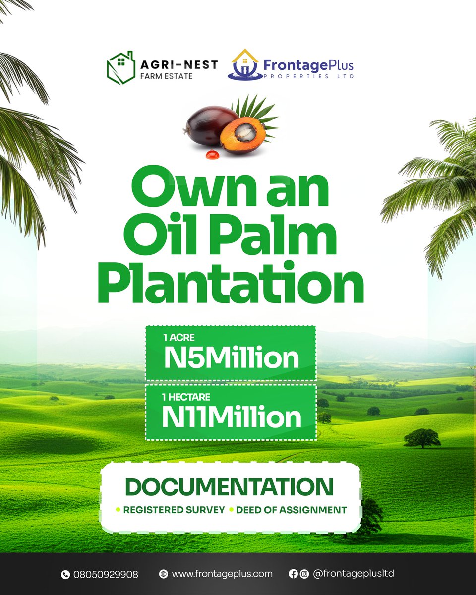 Amos Adeyinka tweet media