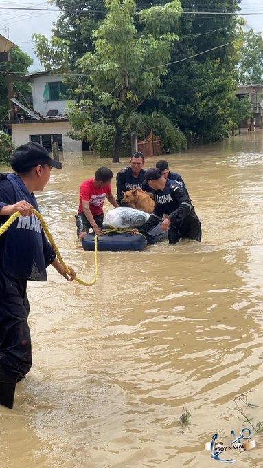 First image shows a man in red shirt and jeans standing in muddy floodwater on a street lined with trees, vehicles, and buildings in Mexico, with a yellow pedestrian sign visible. Second image depicts navy personnel in blue uniforms using shovels to clear mud and debris from a flooded area near a tree and pink wall, with a bucket and map overlay indicating Venustiano Carranza in Hidalgo and Veracruz. Third image features a uniformed soldier in camouflage carrying a baby in red clothing through shallow floodwater beside a damaged red car and collapsed structures. Fourth image illustrates responders in dark uniforms carrying a person on a yellow-handled stretcher through deep muddy water, with a dog nearby and trees in the background.
