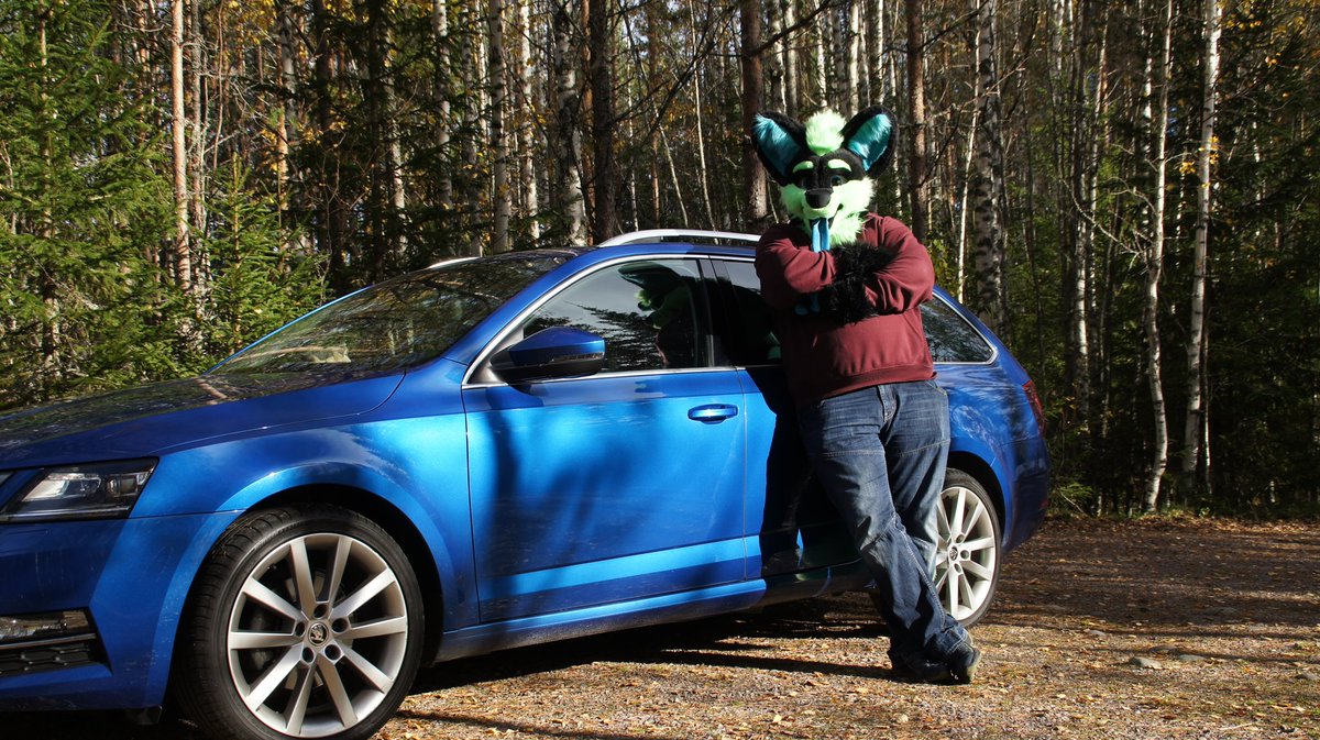 Wolf and his new car! :D 

#furry #FursuitEverday 

🪡 <a href="/TheKarelia/">TheKareliaFursuits 🔜 NFC</a>