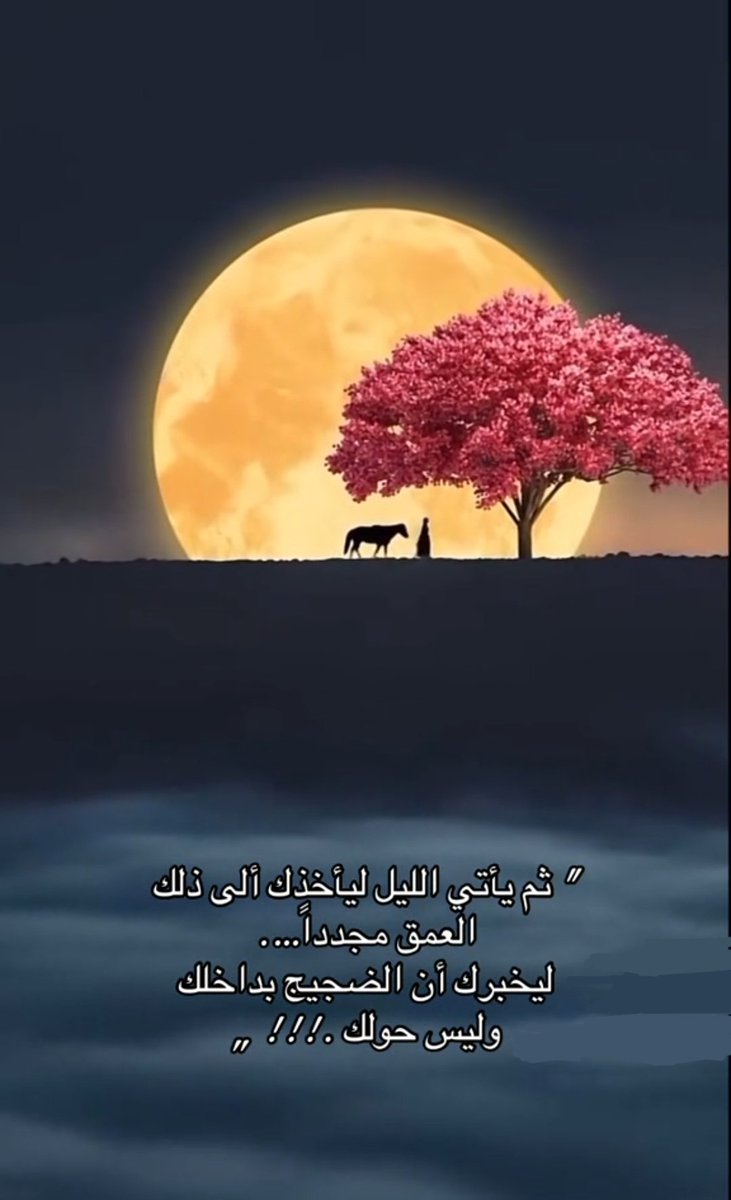 #صورة_حبيتها ❤