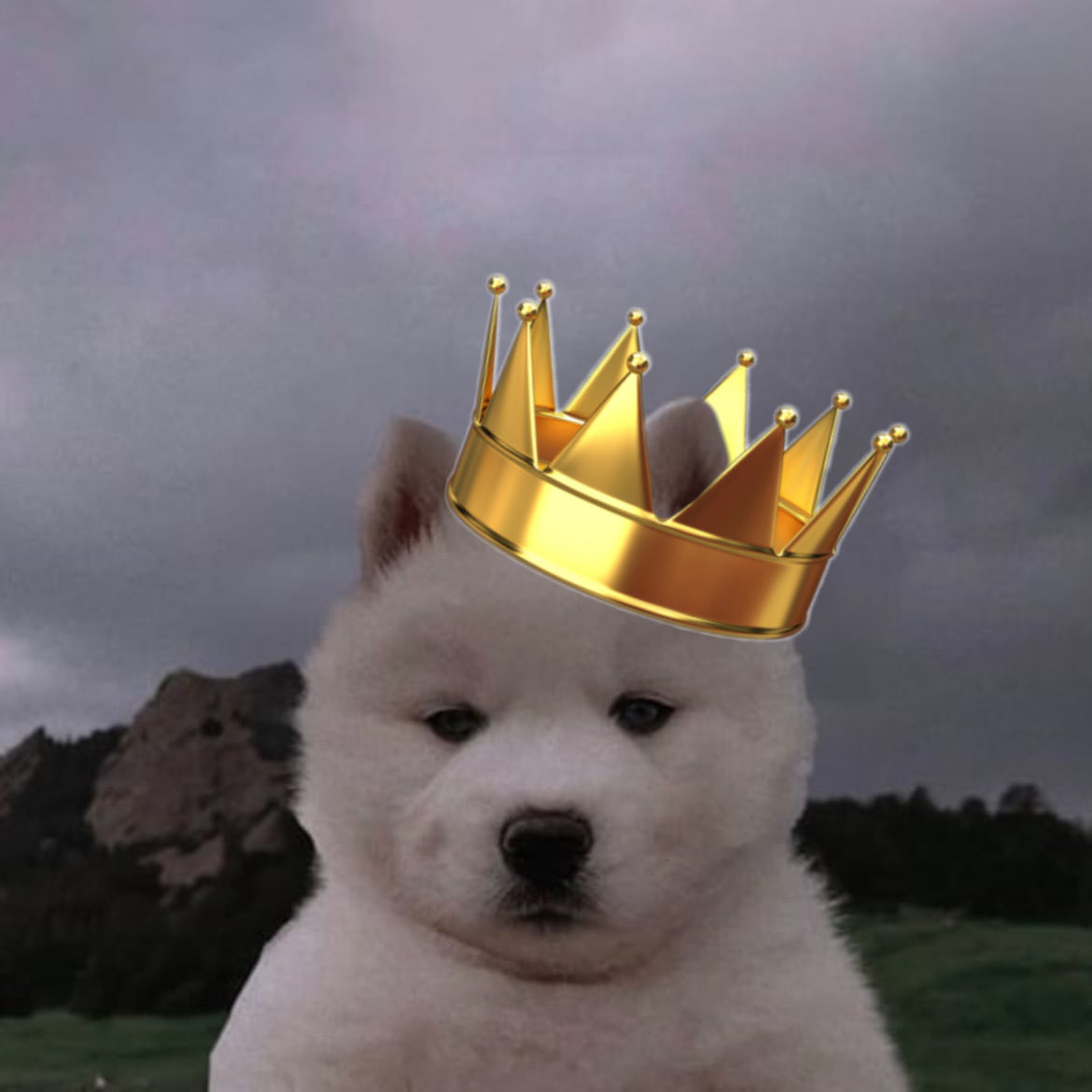 keemotrades's tweet image. $bob PFP cult?

fuck it, I'll start.

change your PFP and comment under this post,

might bless some of y'all $bob holders