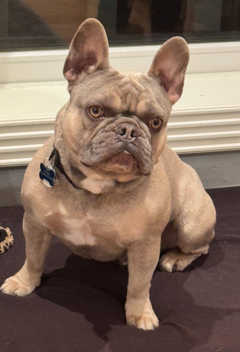 Every morning seeing +100 validators on X1: