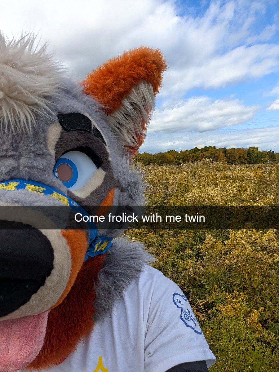 PartDoggo's tweet image. Sending this to my bro