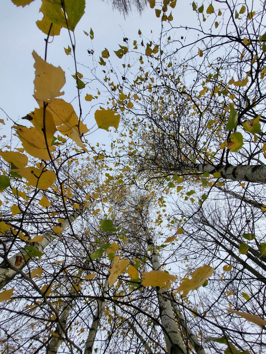 Have a wonderful week !🍂