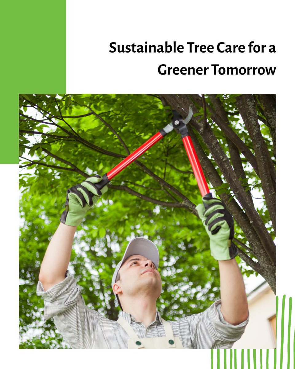 SmithWorksTree's tweet image. Smith Works Tree Service cares for your trees and the environment. Our sustainable practices keep Nashville beautiful and green. Choose eco-friendly tree care—schedule your consultation today: smithworkstreeservicenashvilletn.com