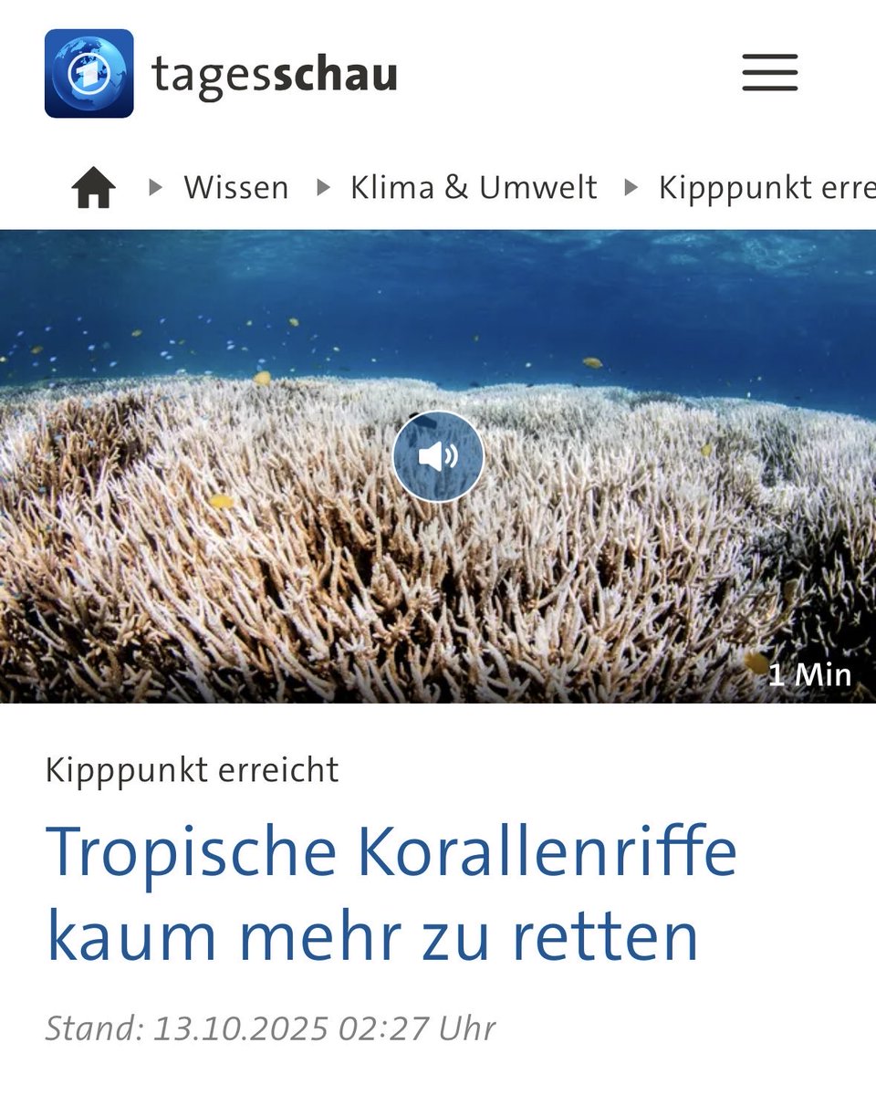 Wegen der #Klimakrise haben die tropischen Korallenriffe wahrscheinlich bereits ihren Kipppunkt erreicht. Uns läuft die Zeit davon. Aber noch können wir handeln. Denn es gibt Potentiale, die Erderhitzung abzumildern. Nur, liebe Bundesregierung, die müssen wir nutzen - jetzt!